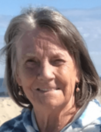 Carol Ann (Dayton) Clark Obituary
