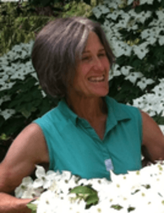 Candice Clark Obituary